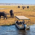 South Africa Safari Tours with The Complete Traveler offer many different things to see and do.