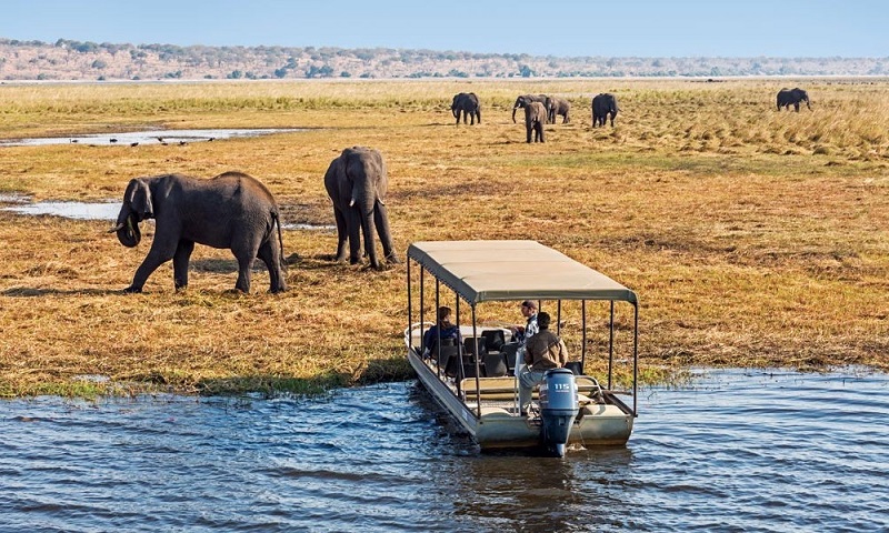 South Africa Safari Tours with The Complete Traveler offer many different things to see and do.