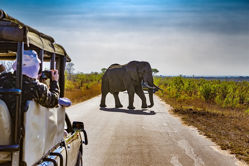 South Africa travel will leave you with a lifetime of memories.
